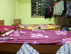 Blk 98 Whampoa View (Toa Payoh), HDB 3 Rooms #630572491